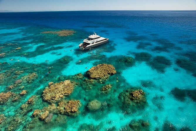 Tusa Reef Tours All Inclusive Great Barrier Reef Tour From Cairns - Customer Reviews