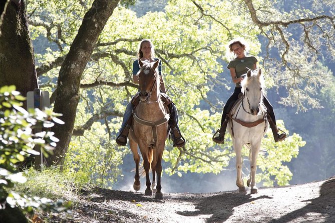 Tuscan Chianti Hills Horseback Riding Tour - Customer Experiences