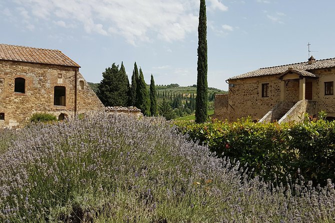 Tuscany Guided Day Trip From Rome With Lunch & Wine Tasting - Customer Reviews and Highlights