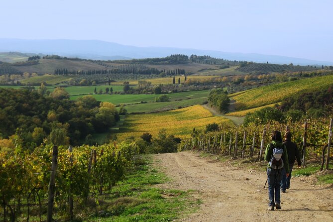 Tuscany Hiking Tour From Siena Including Wine Tasting - Wine Tasting in Monteriggioni