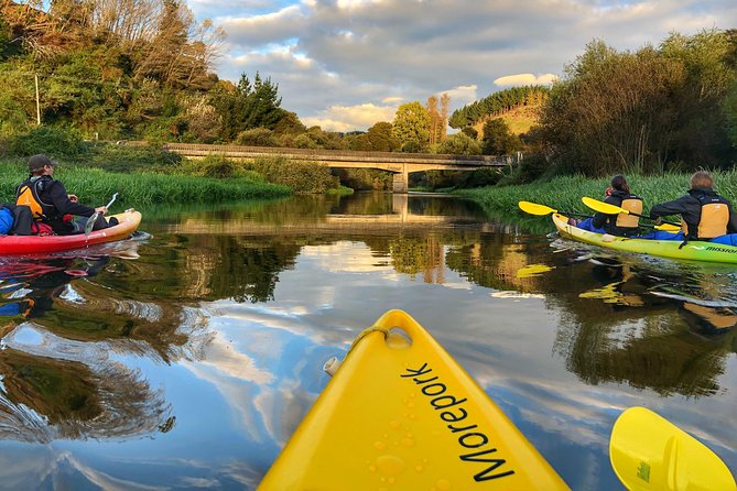 Twilight Kayak Glow Worm Tour - Customer Experience