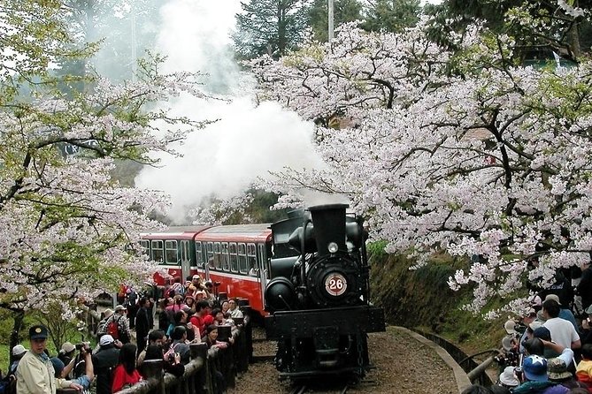 Two-day Sun Moon Lake & Alishan Forest Park Tour Package - Logistics Information