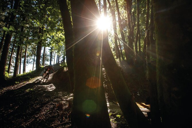 Two Hours Guided E-Bike Tour - Arzler Alm Single Trail - What to Expect