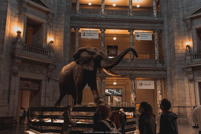 Two Smithsonian Museums: American & Natural History Private Tour - Guide Expertise