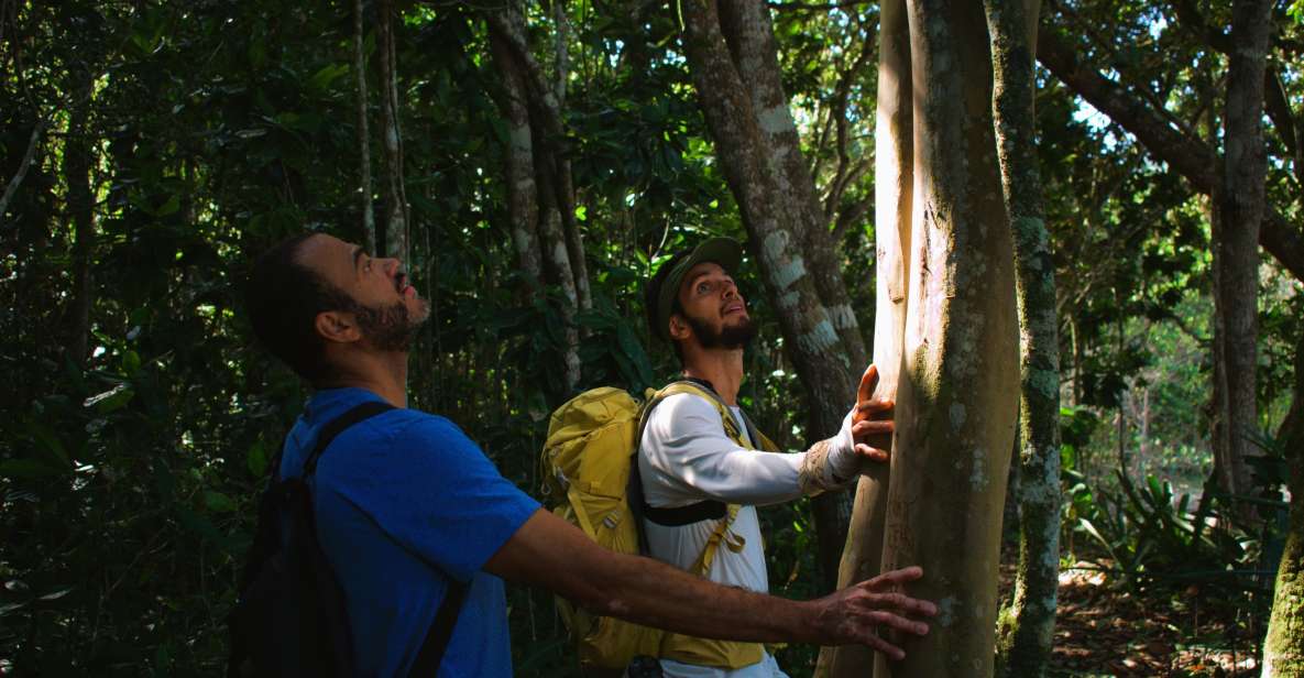 Ubatuba - Trail to 7 Beaches - Culinary Experience