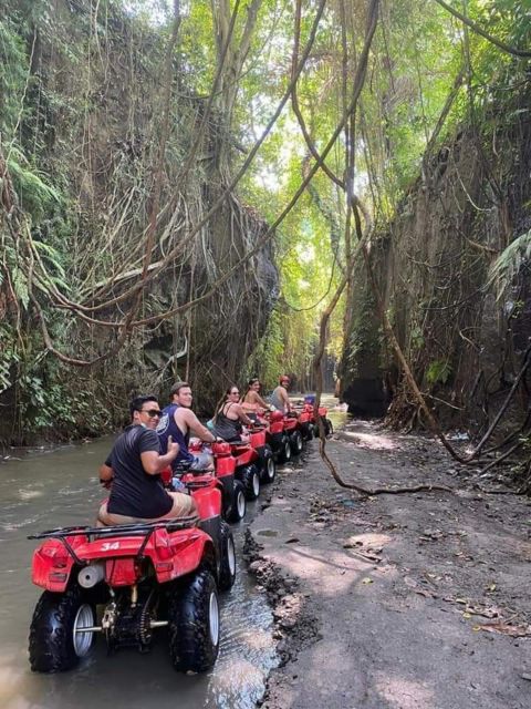 Ubud: Best of ATV Quad Bike Adventure - Itinerary and Safety