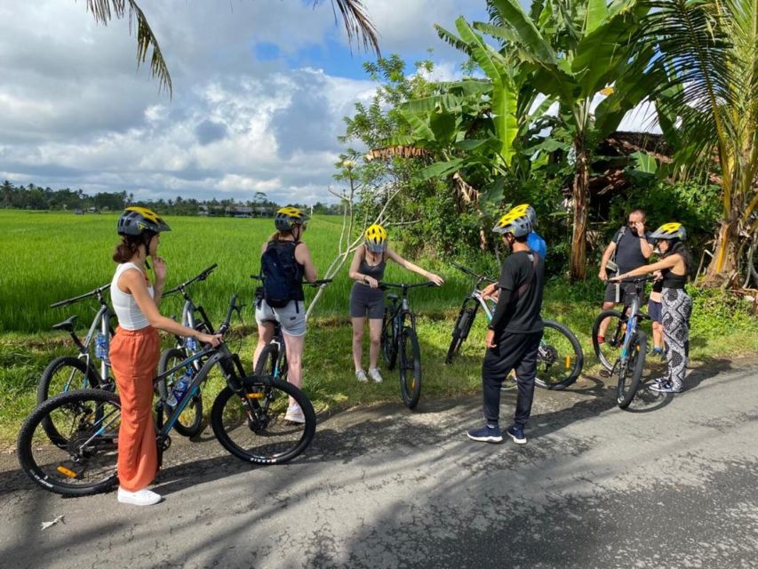 Ubud: Downhill Cycling With Volcano, Rice Terraces and Meal - Description