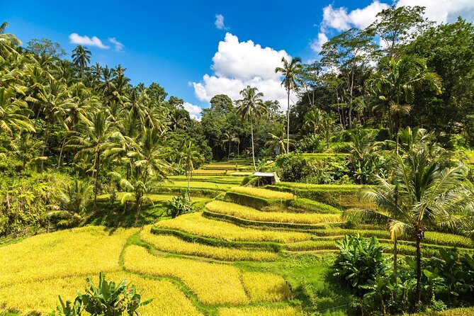 Ubud Private Highlights Tour—Monkey Forest, Villages, and More - Village Exploration