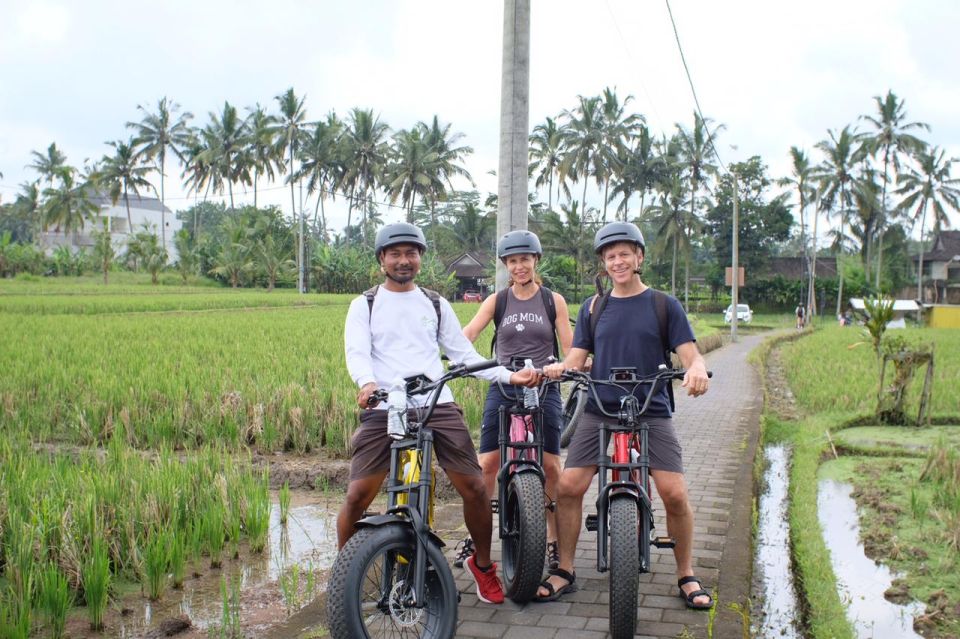 Ubud: Rice Terraces & Villages Half-Day Fat Tire E-Bike Tour - Guest Reviews