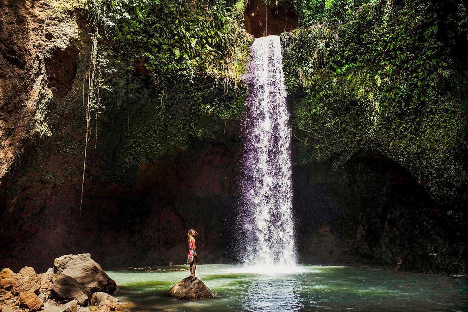 Ubud: Spectacular Waterfalls Tour - Review Summary