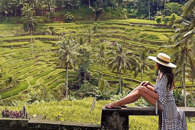 Ubud: Swing - Monkey Forest - Waterfall - Temple - Rice Terraces - Art Crafts - Temple Visits in Ubud