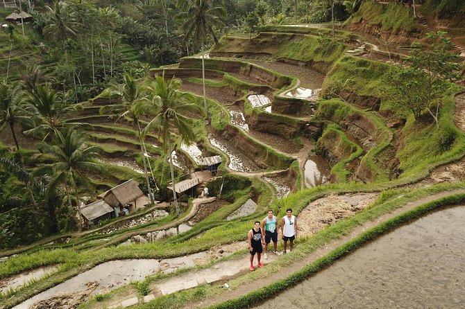 Ubud Top Attractions: Waterfalls, Temples and Rice Terraces - Cancellation Policy