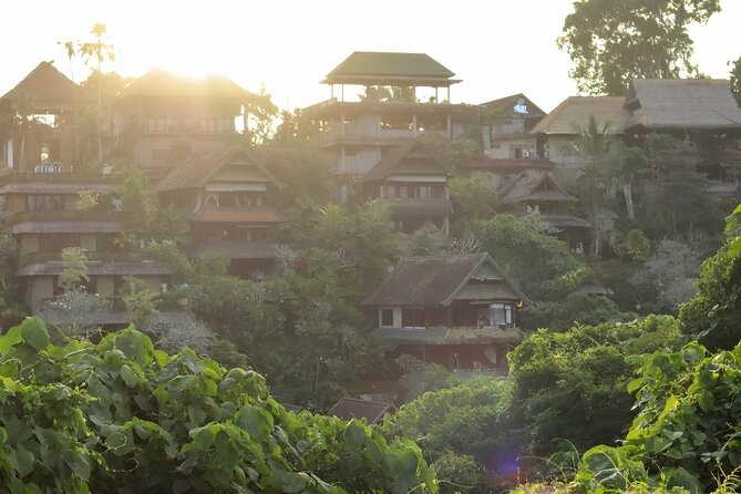 Ubud Tour With Sacred Monkey Forest Sanctuary - Waterfall - Rice Terrace - Experience the Rice Terrace