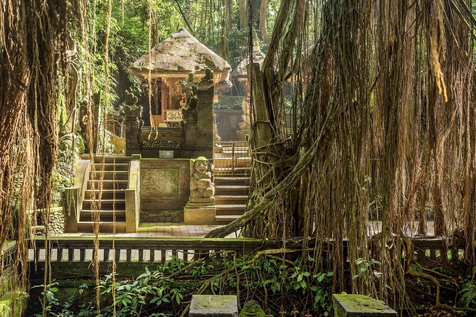 Ubud: Waterfall, Rice Terraces, and Monkey Forest Private Tour - Additional Information