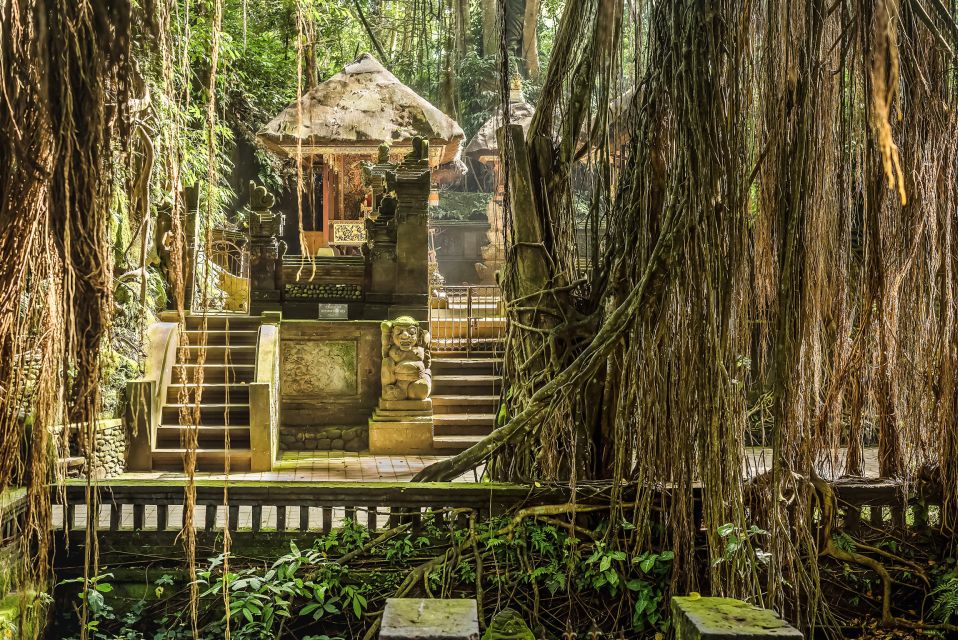 Ubud: Waterfall, Rice Terraces & Monkey Forest Private Tour - Tour Highlights