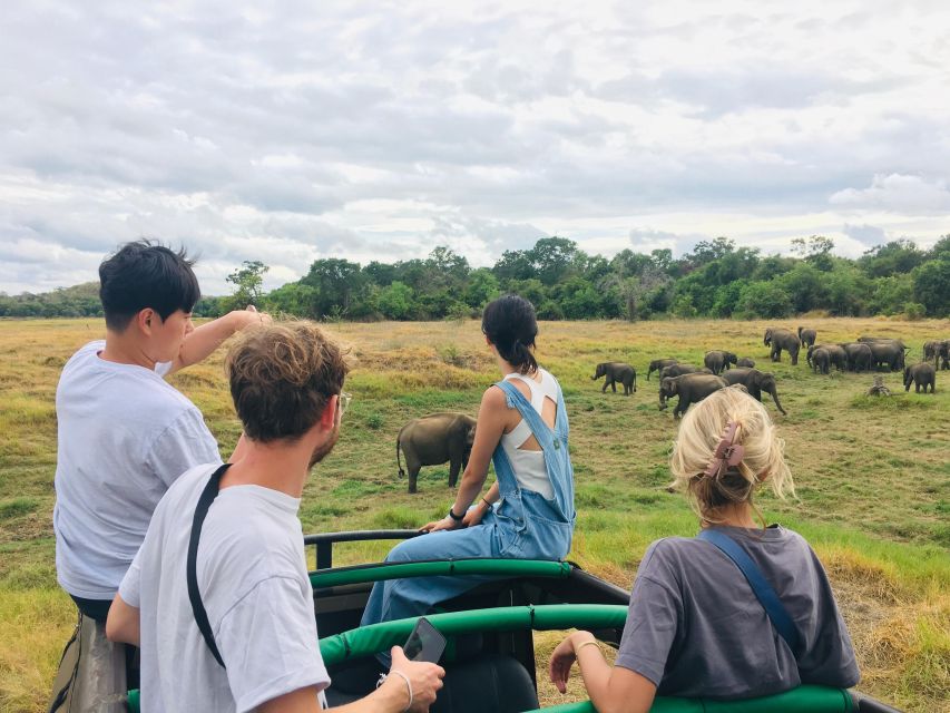 Udawalawe National Park: Private 4 Hours Safari Trip - Safari Features and Coverage Area