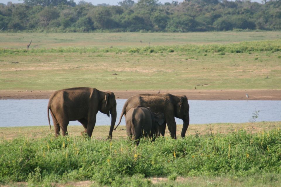 Udawalawe: Udawalawe Wild Safari Tours - Inclusions