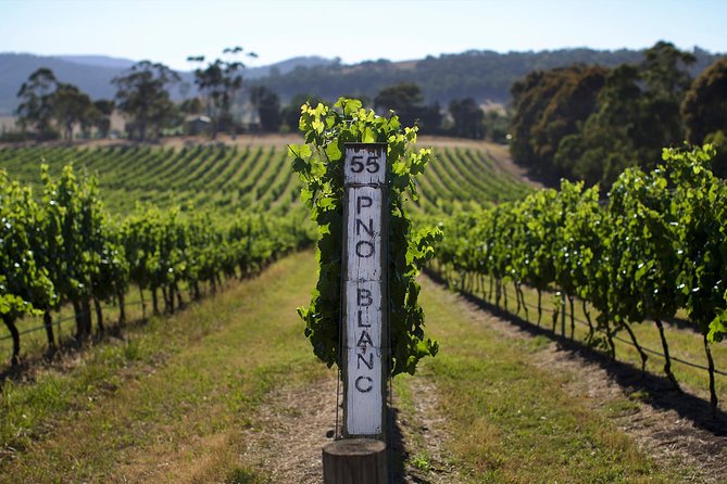 Ultimate Mornington Peninsula Food and Wine Small Group Tour - Reviews