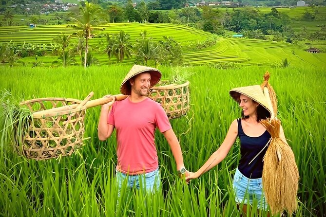 Ulun Danu Beratan Temple - Tanah Lot Temple Tour by UNESCO World Heritage - Questions and Additional Information