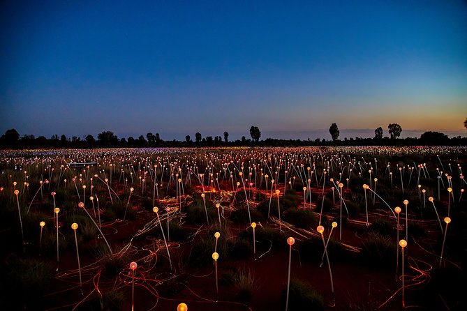 Uluru (Ayers Rock) Field of Light Sunrise Tour - Additional Information and Cancellation Policy