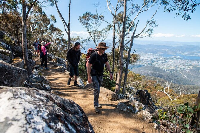 Under the Organ Pipes - Kunanyi/ Mt Wellington Guided Walk - Booking Information