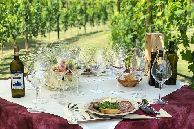 Unforgettable Lunch in the Vine Rows in Tuscany - Savor Fine Wines in Nature