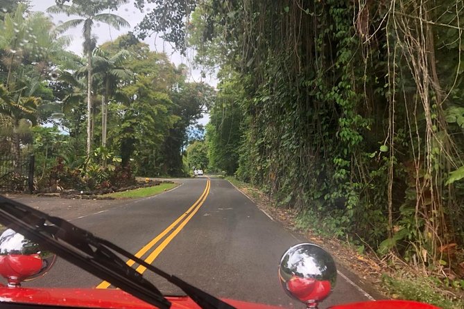 Unique Buggy Rental on the Big Island, Hawaii - Cancellation Policy and Customer Reviews
