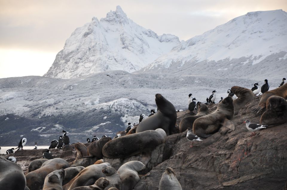 Ushuaia: Beagle Channel & Sea Wolves Island Catamaran Cruise - Customer Service