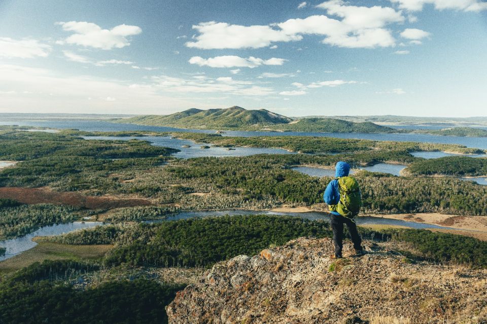 Ushuaia: Shared Experience "Tierra Del Fuego" National Park - Payment Options Available