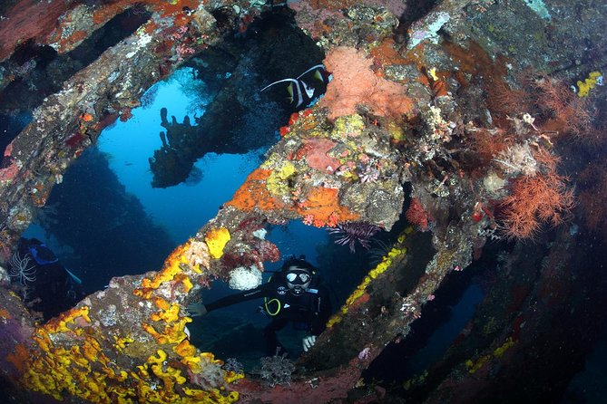 USS Liberty Shipwreck Scuba Diving at Tulamben Bali - Participant Requirements and Restrictions