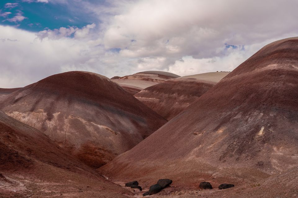 Utah: Bentonite Hills 3-Hour Off-Road Tour - Participant Details