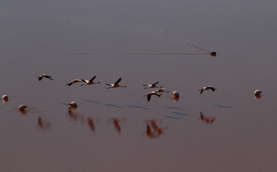 Uyuni Salt Flat Private Tour From Chile in Hostels - Detailed Itinerary and Accommodations