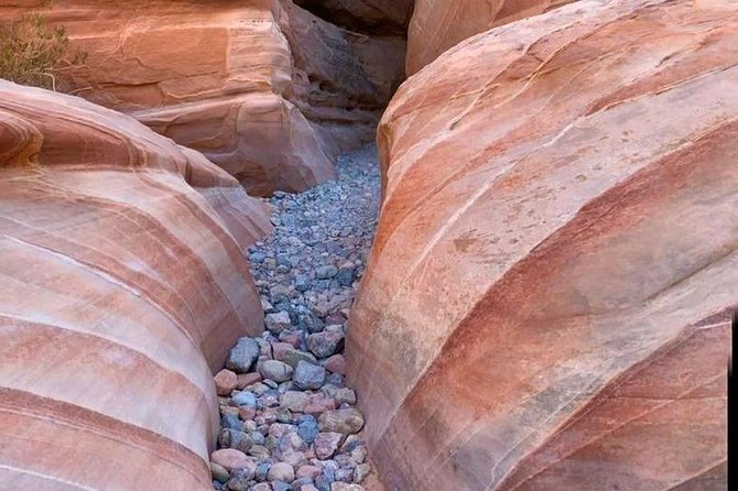 Valley of Fire Small Group Tour From Las Vegas - Customer Experience