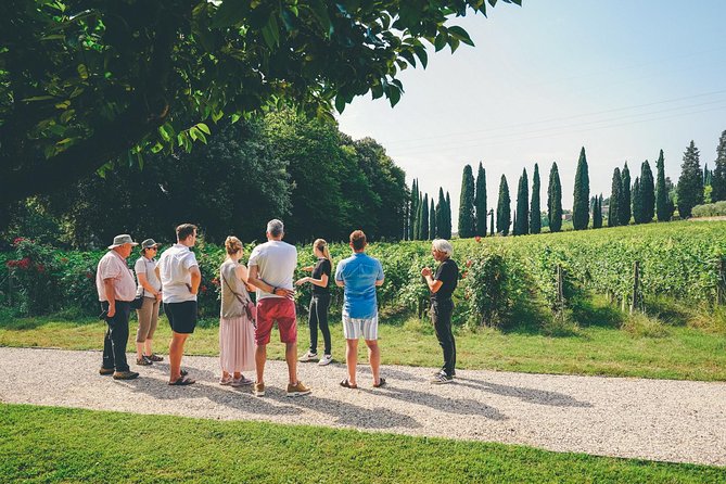 Valpolicella and Amarone Wine-Tasting Tour From Verona - Experience Highlights