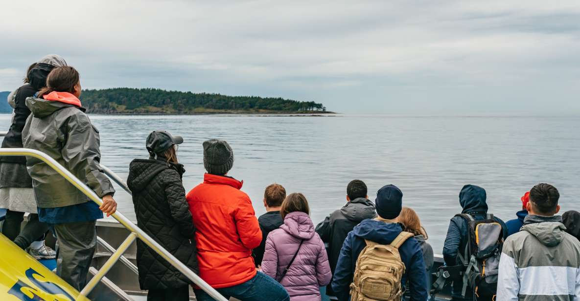 Vancouver, BC: Whale Watching Tour - Inclusions