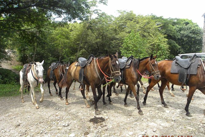 Vandara Adventure: Horseback Riding, Ziplining, Hot Springs  - Tamarindo - Last Words