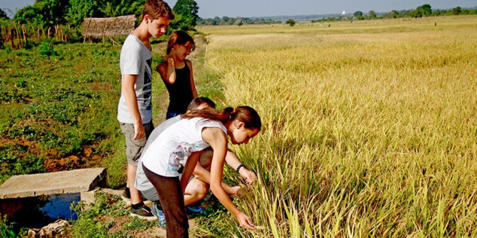 Village Expedition in Yala From Hambantota Harbor by Tuk-Tuk - Children Policy