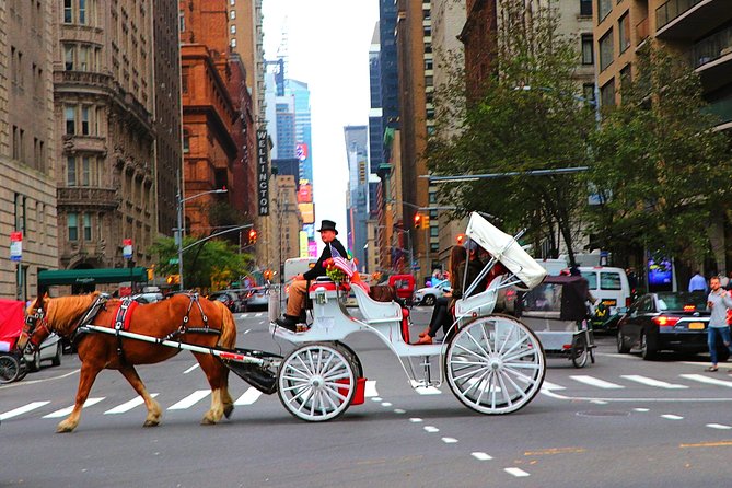 VIP Horse Carriage Ride Through Central Park (Up to 4 Adults) - Meeting Point and Logistics