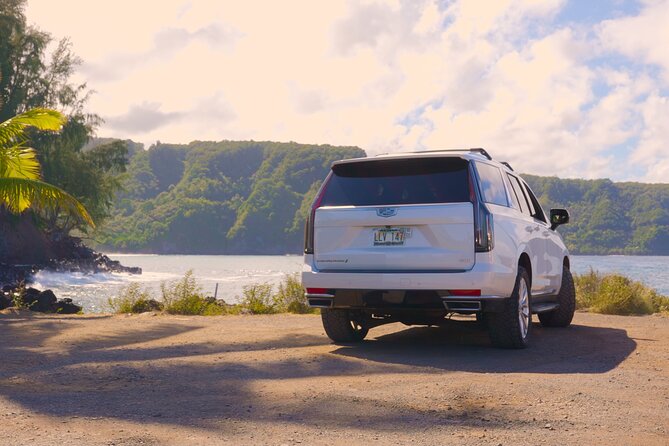 VIP Private Road to Hana Tour With Pick up - Customized Experiences and Highlights