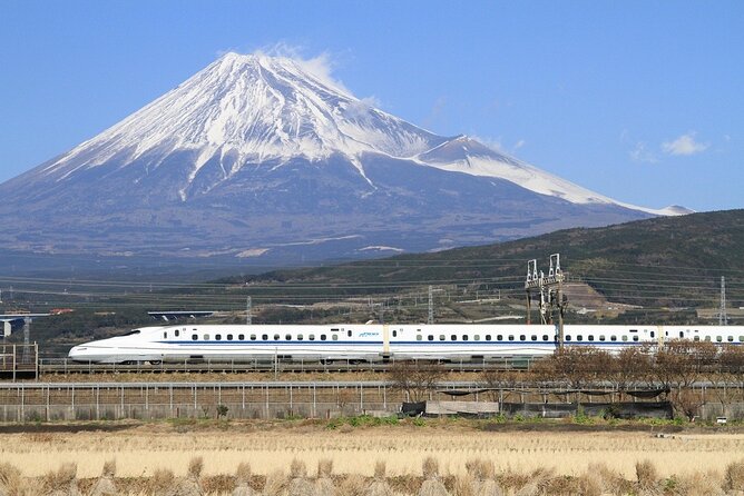 Virtual Tour to Discover Mount Fuji - Additional Information