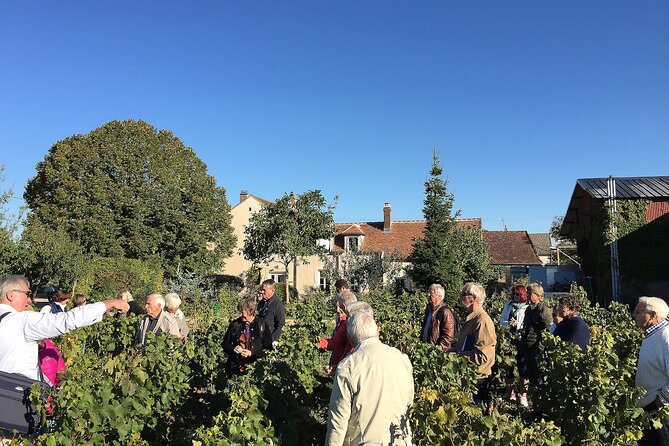 Visit and Chablis Wine Tasting at Domaine Clotilde Davenne in English - Booking and Accessibility Details