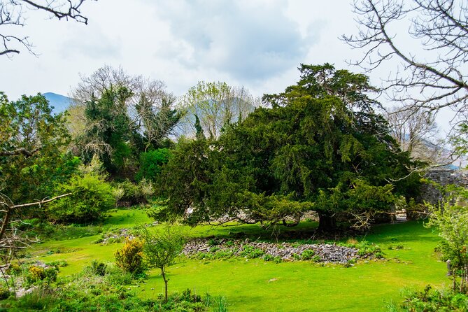 Visit Innisfallen Island - Boat Trip Details