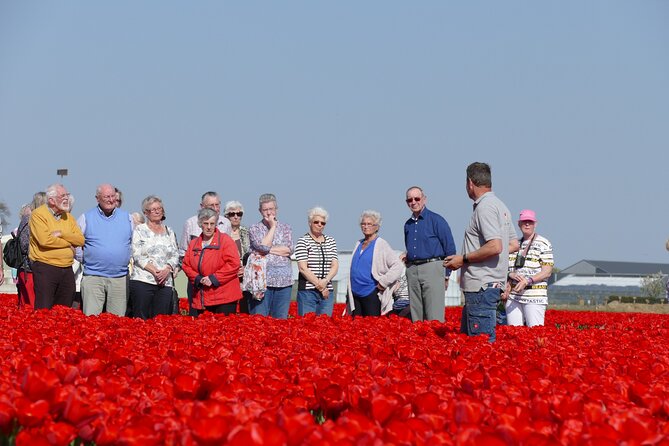 Voorhout Dutch Tulip Farm Guided Visit (Mar ) - Booking Information