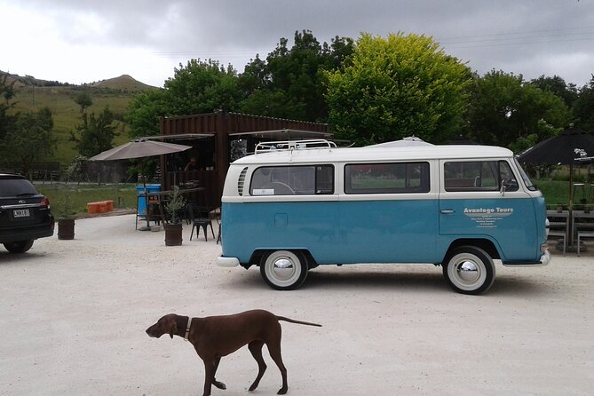 VW Kombi Napier/Hawkes Bay Scenic & Art Deco Tour - Art Deco Tour Details