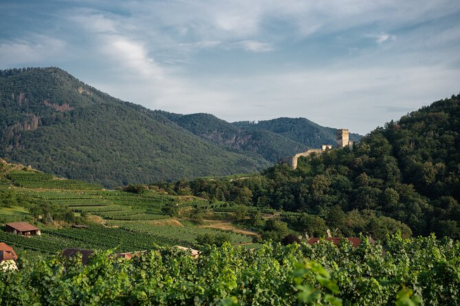 Wachau Valley Vines: A Culinary and Cultural Private Experience - Tour Inclusions