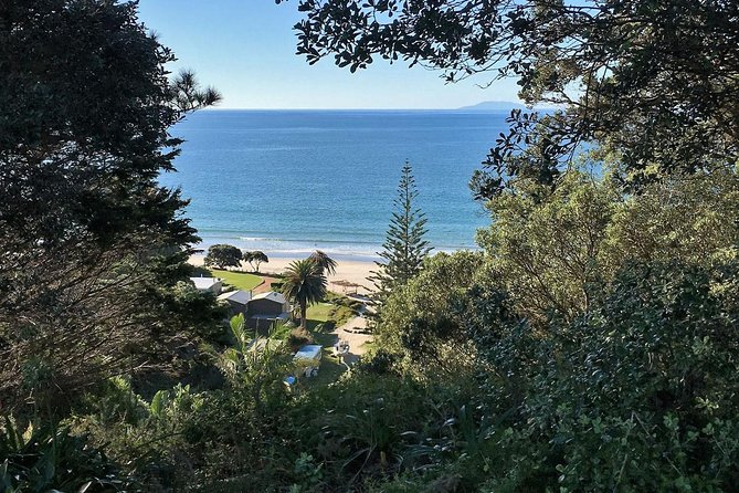 Waiheke Island Bush & Beach Walk - Customer Reviews