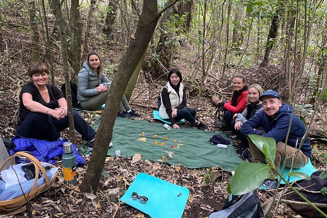 Waiheke Island Private Forest Therapy Walk - Tips for the Forest Therapy Walk