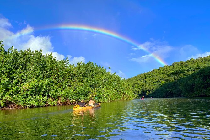 Wailua River and Secret Falls Kayak and Hiking Tour on Kauai - Positive Experiences