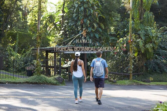 Waipio Valley, Hamakua Coast, Akaka Falls From Kona (Mar ) - Tour Highlights