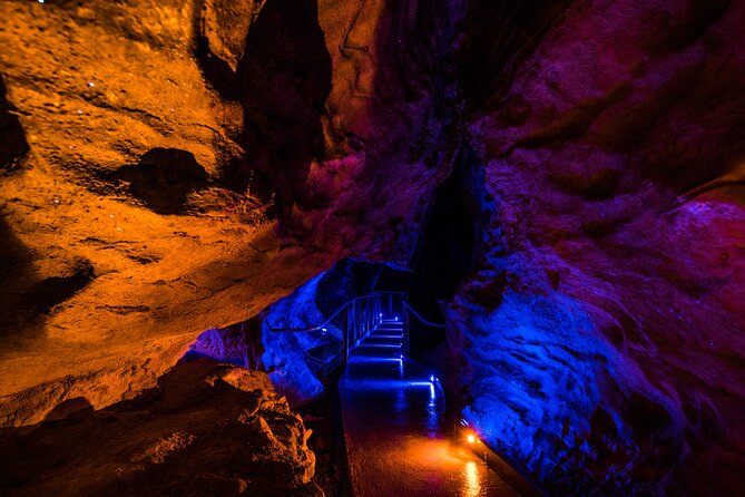 Waitomo Glowworm & Ruakuri Twin Cave Experience - Small Group Tour From Auckland - Reviews and Feedback
